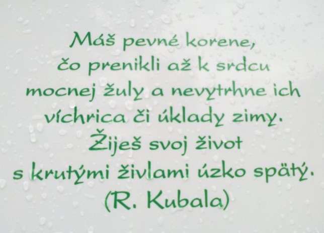 Koeny