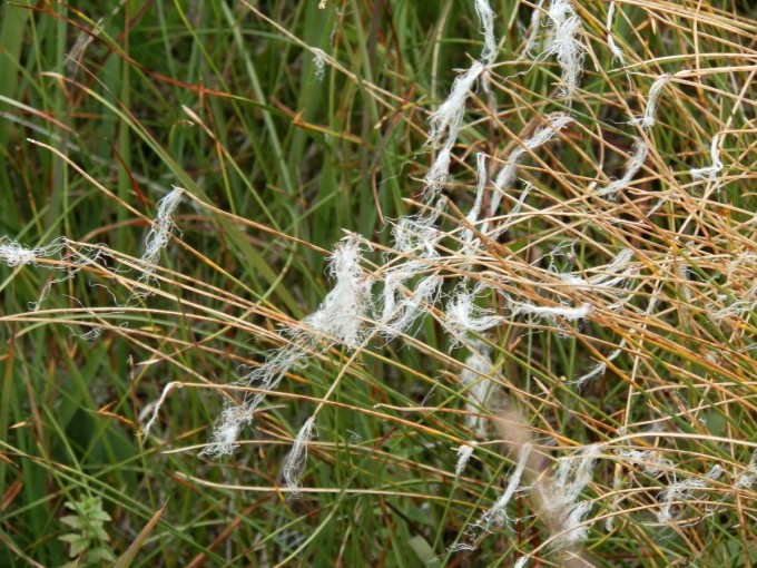 P1010058